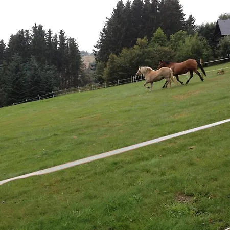 Appart-hotel Harmonie 3* 빈터베르크