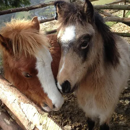 Appart-hotel Harmonie 3* 빈터베르크