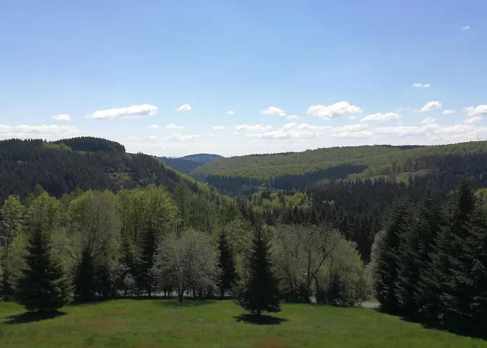 Appart-hotel Harmonie 3* Winterberg