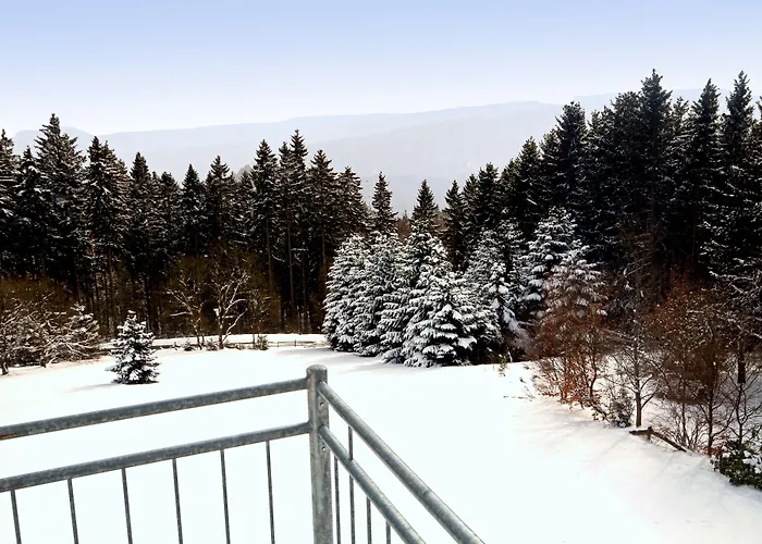 Lejlighedshotel Appart-hotel Harmonie Winterberg