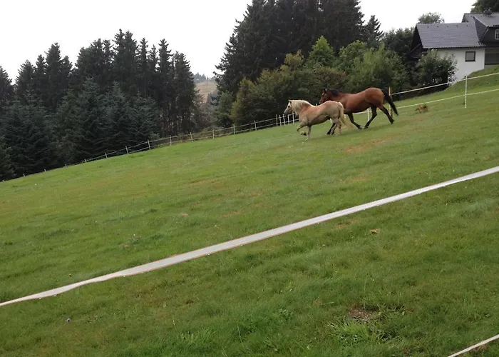 Appart-hotel Harmonie 3* ヴィンターベルク