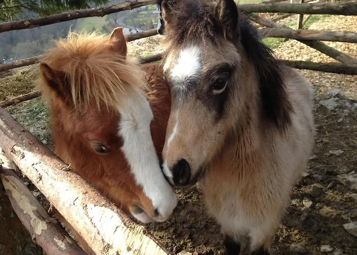 Appart-hotel Harmonie 3* ヴィンターベルク